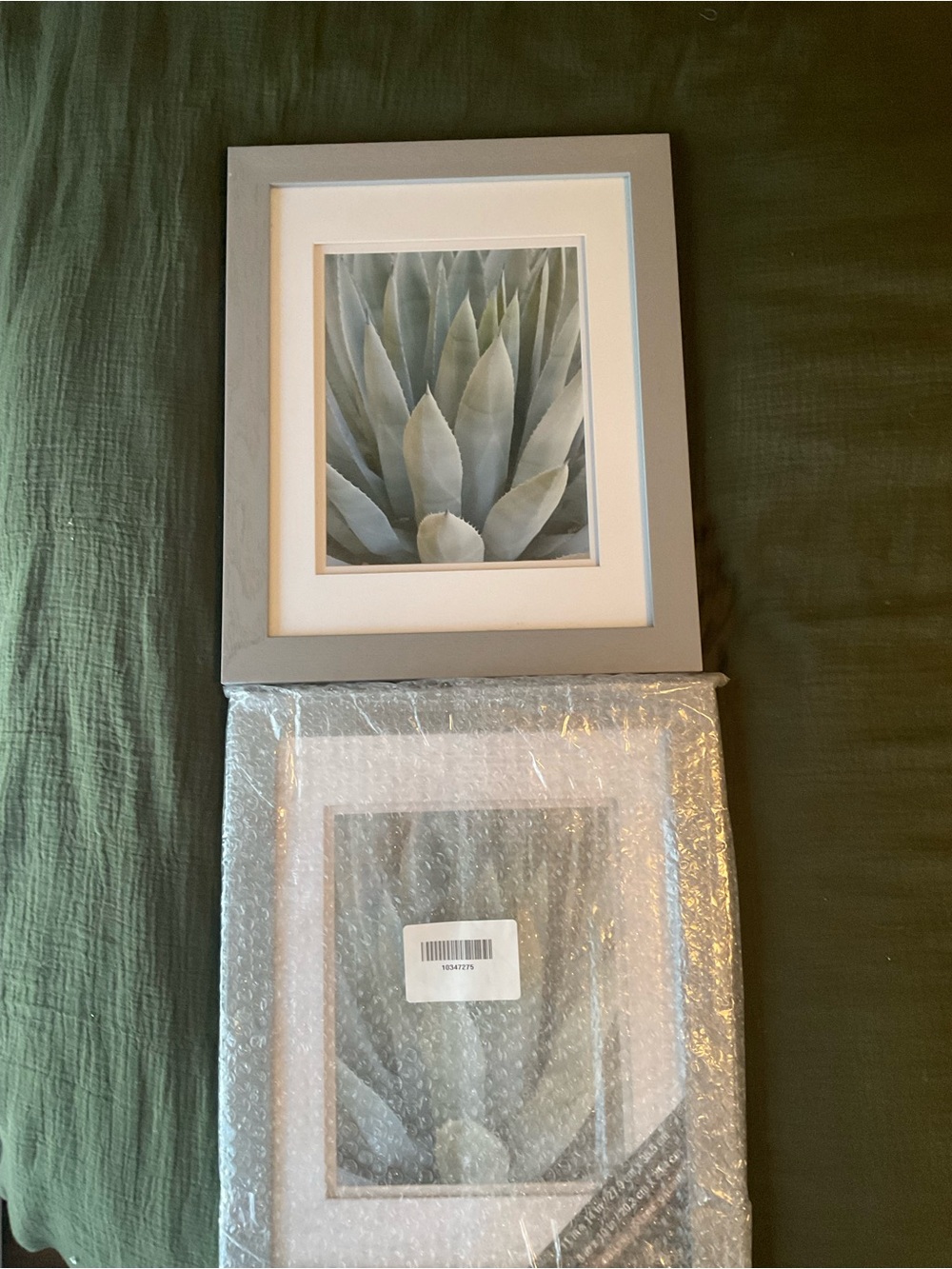 Framed 13”x16” Cacrus Neutral Gray Agave Wall Art Print - Home Art Prints
